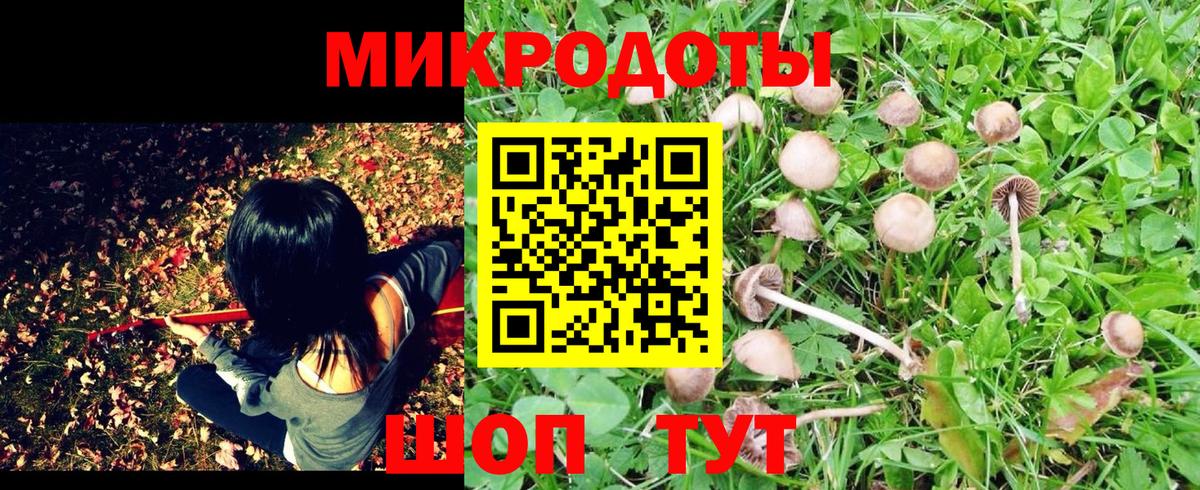 Славянск-на-Кубани  дарнет шоп  Вход с VPN  Галлюциногенные грибы Cubensis  Галлюциногенные грибы мицелий 