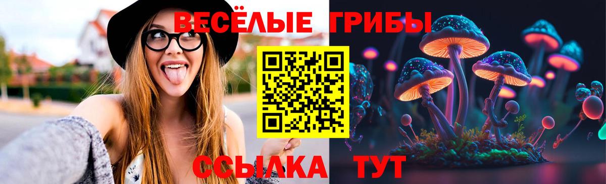 Галлюциногенные грибы Psilocybe Славянск-на-Кубани